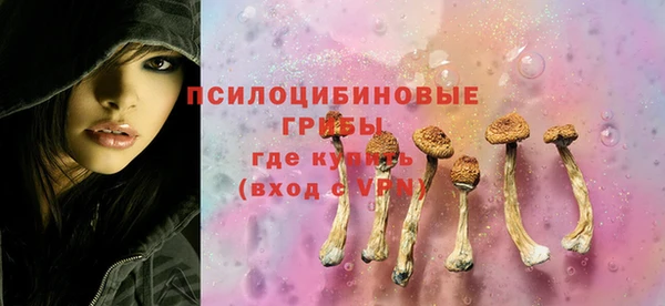 бутират Алзамай