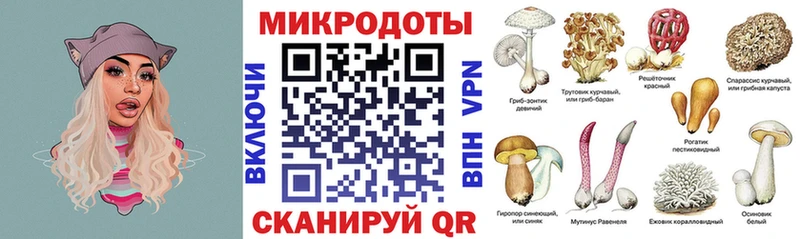 Псилоцибиновые грибы GOLDEN TEACHER  Грязовец 